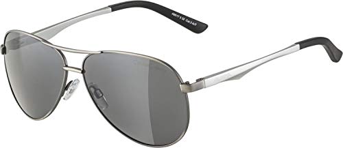 Lunettes de soleil ALPINA A 107 finition titanium matt l'élégance minimaliste