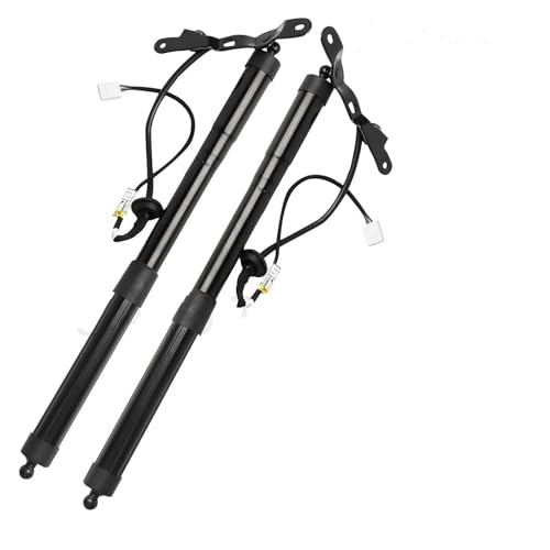 Amortisseur de hayon électrique bloqué ? Solution pour RAV4 2.5L