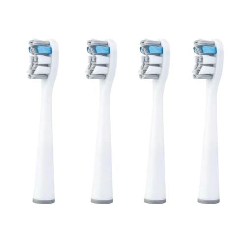 �����p�u���V�w??�b�h 12 �A�݊���������܂�usmile Y1/Y4/U1/U2 ���u���V�w�b�h�f�B�[�v�N���[���\�t�g�уm�Y���ƌ݊�������