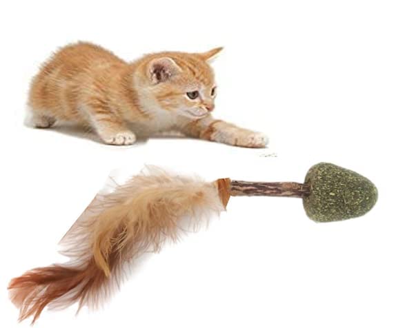 PAW PET MART Cat Ball Vine Sticks Catnip Exquisite Ball Pet Biting Toy Teeth Care Catnip Cat Ball Toy (B0C1VT5KMF) Amazon Price History, Amazon Price Tracker
