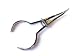 Rubber Dam Clamp Forceps 7