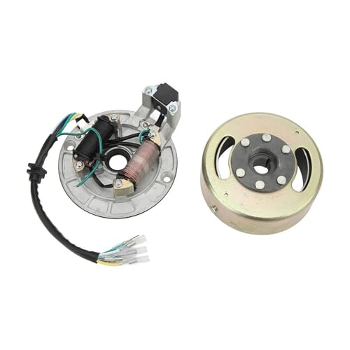 Kit rotor volant d'inertie et stator magnéto pour moteur Dirt Bike 110cc 125cc