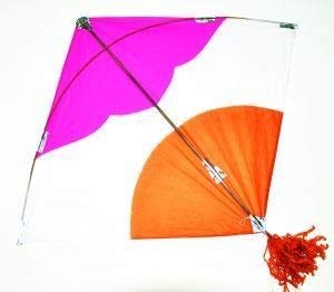 Holiday Pack - Super Cool 10 Paper Kite patang Medium Size ( 15*15 Inch) , Multi Color, Indian Kite, Paper Sky Kites