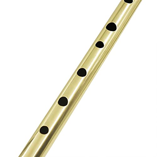 Flöte Irish Whistle Flöte D Key 6 Loch Klarinette Flöte Tin Penny Whistle Musikinstrument aus vernickeltem Messing