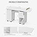 Paddie Manicure Table with Extendable Table, Nail Desk Table for Nail Tech with Trash Bag Holder & Vertical Drawer, Nail Beauty Station with Wrist Cushion, Lockable Wheels, Storage Cabinet(White-New)