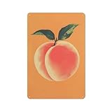 Article de collection de taille parfaite : mesurant 20 x 30 cm, cette plaque en métal a la taille idéale pour divers emplacements. Un excellent ajout à toute collection pour les amateurs de vintage