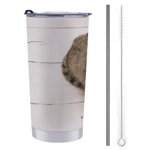 L  ˂ ԗpRbv ԗp^u[  ԃJbv }OJbv ۉۗ XeX _CNg^Cv R[q[Jbv J[pi RrjJbv t^t 600ml Ԓ