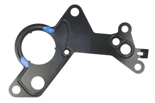 LCC TR1415 Kit riparazione Pompa a depressione (Sistema frenante)