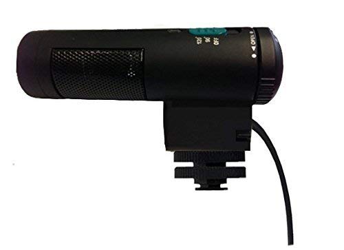 Stereo Microphone with Windscreen for Canon VIXIA HF G40