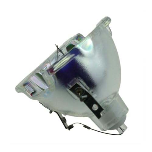 FYBQSMYSD BL-FU300A/SP.8BH01GC01 �����v�����p�A�N�Z�T���[ Optoma DP7290 EP1080 TX1080 VE810 �v���W�F�N�^�[�X�y�A�p�[�c(BL-FU300A-CB)�ɑΉ�