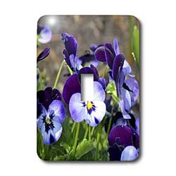 Plaque interrupteur pensées violettes 3dRose lsp_51789_2 décoration florale 5 cm