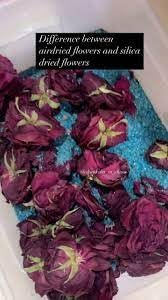 Magic Blue Silica Gel for Dry Flowers (250g) | Reusable & Non-Toxic | Perfect for Resin Art & Craft 2