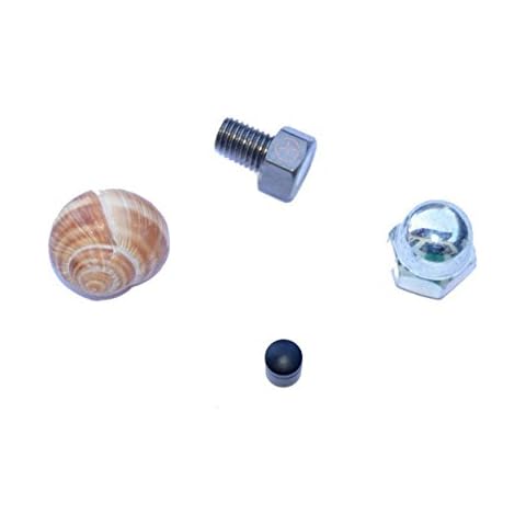 GEocaching Set Geocache Containers Special D5 Fake Screw Log Stripes Cap Nut Snail Magnetic Nano Cover