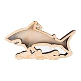 L'étui d'affichage qui vous permet d'admirer votre collection de dents de requin sans ouvrir la boîte, offre des possibilités de placement flexibles telles que les bureaux et les rebords de fenêtre.