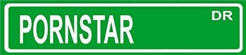 TammieLove Funny Sign Gift Pornstar Metal Sign Wall Plaque Street Sign 4x16 inches