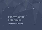 Professional PEST chart: Project management, Quick business template, The book dimension is 8.25 x 6 inches