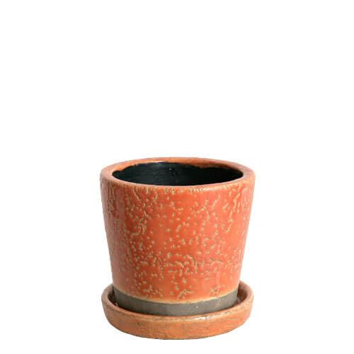 Amazon.co.jp: ダルトン(Dulton) 植木鉢 プランター 3.5号 オレンジ