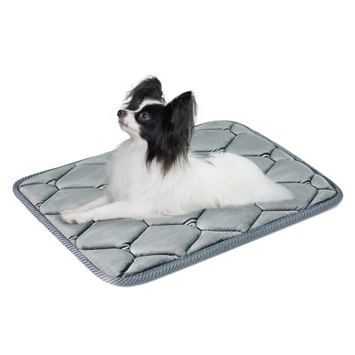 Geegoos Dog Crate Mattress,Washable Soft Kennel Pads,Pet Bed Blanket Dog Crate Mat Suitable for 30 inch Cage,Dog Bed Mats for Medium Pets and Cats(58x43cm,Grey)