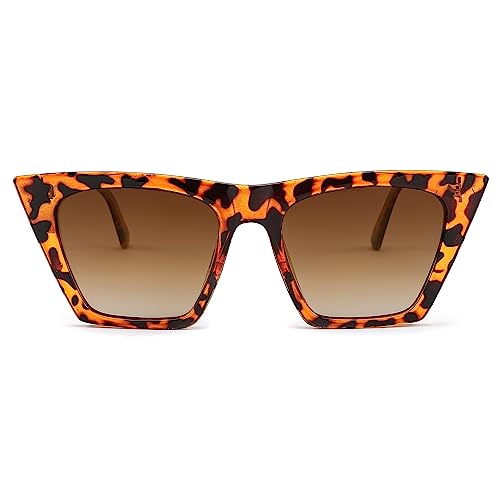 FEISEDY Vintage Square Polarized Cat Eye Sunglasses for Women Men Trendy Fashion Sunnies B23822