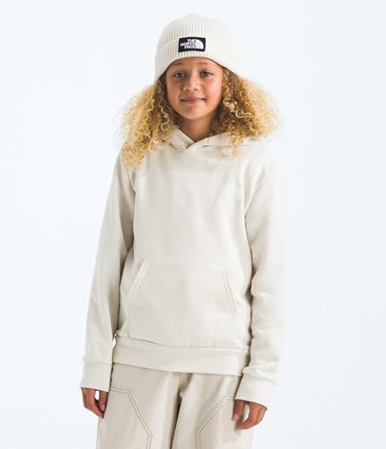 THE NORTH FACE Kids' Evolution Box NSE Pullover Graphic Hoodie | Sweatshirt for Boys & Girls, Kangaroo Hand Pocket2