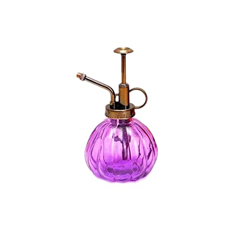Glass Plant Mister Watering Can Spray Bottles with Top Pump,