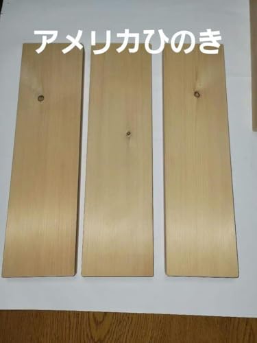 ���� �A�����J�Ђ̂� �����Ŕ� �ꖇ�� ���C�� �ߗL�� DIY �n���h�h