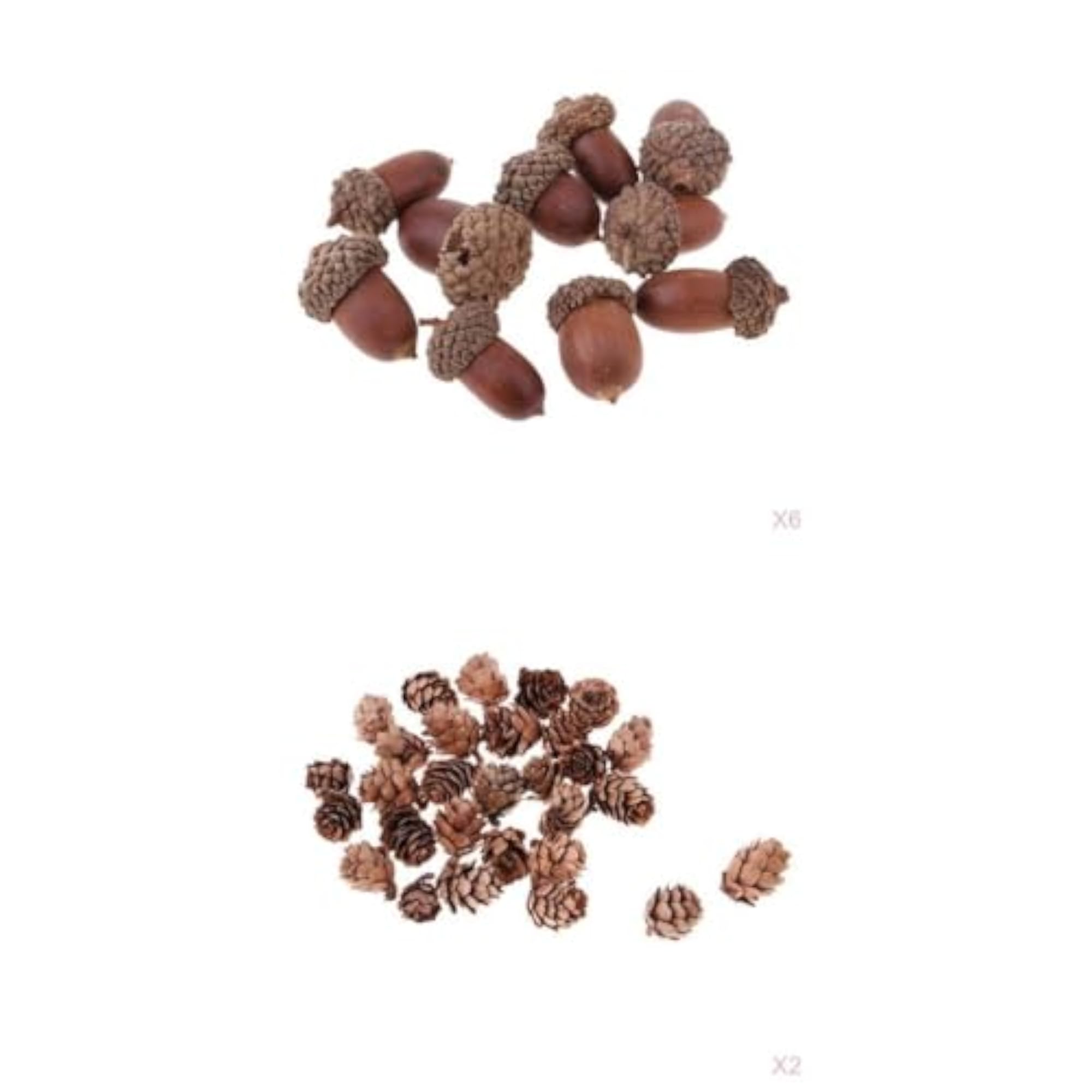 Natural Pine Cones Dried Table Ornament for Home Decoration