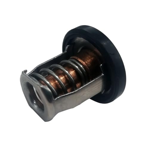 Thermostat 60° moteur hors-bord DF8A protège de la surchauffe