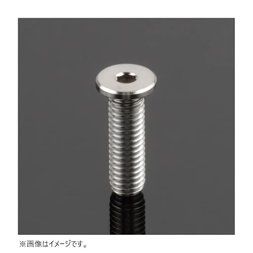 ジータ(ZETA) チタン キャップボルト キャップスクリュ M8 P1.25 エクストラLowヘッド16mm ZT07-3816
