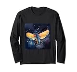 Bioluminescence In Insects Insect Night Firefly
