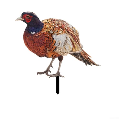 Gartenornamente, Fasanpfähle, Rasendekorationen, doppelseitige Acryl-Huhn-Figuren, Hahn, Hof, Kunst, wetterbeständig, Gartendekoration, Set mit 2 (B)