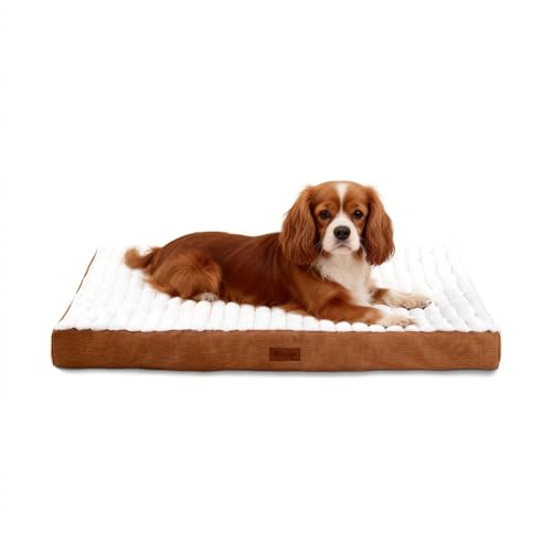 Orthopedic Dog Bed with Firm High-Density Egg Crate Foam Mattress,Machine