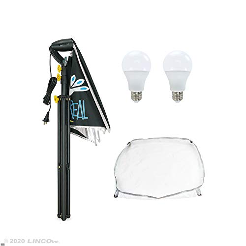 Image of LINCO Lincostore Studio Lighting Photography Light Equipment Continuous Photo Softbox Kit 16x 16 Inch with 2 Professional Portrait Bulb for Filming Video AM270