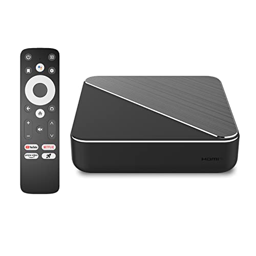 Dune HD Homatics Box R 4K Plus Android TV 11 | Reproductor...