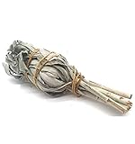 Sauge Blanche de Californie - Torche 15/20g Salvia Apiana