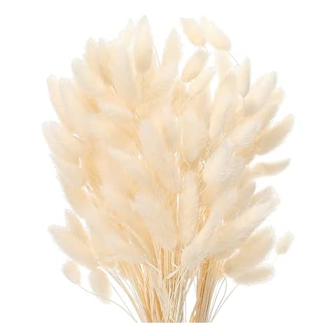 JKDHJK Herbe de Pampa Séchée Cover