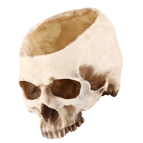 Skull Cereal Bowls for Eating Human Skull Bowl Food Safe Modern Skull Spacious and Design with Its Big Size, This Skull Shaped Head Design Flower Pot Planter Container Decoration L