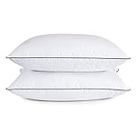 Puredown® Goose Feather Down Pillows, Bed Pillows for Sleeping, Hotel Pillows Queen Size 2 Pack with 100% Cotton Cover (Blue Edge, Queen)