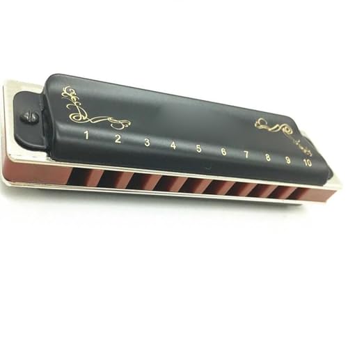 n[jJ wvtFbVin[jJ 10 n[jJubN/u[J[ 12 L[y (Color : Black B Tone)