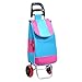 Gyj&mmm Carro de la Compra Carrito de Compras Plegable con 2 Ruedas Bolsa de Compras Desmontable en Ruedas Paquete de Diagonal de Utilidad Grande y Ligero Carritos de la Compra (Color : 2)