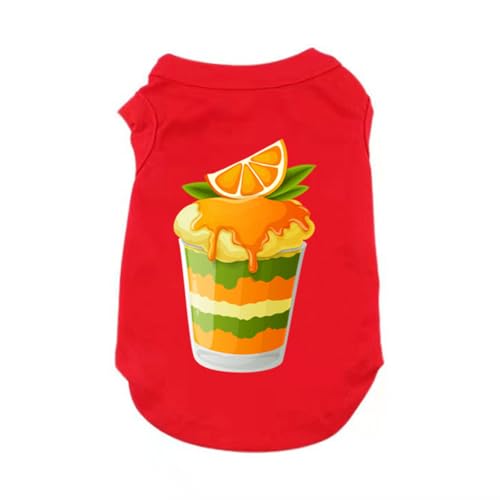 [XZVGJ] XL ybg L  킢 ^ ^ pW} Lm Lp _炩 ̕ Ȃ lC  t@bV  ʋC ₩ ȒPE [΍ ʋC ₩ U o