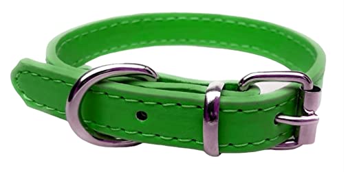 Vibrant Leather Dog Collar & Lead Combo Set for Puppy Dogs Small, Medium & Large (Small (27cm - 33cm Neck), Green) - Image 3