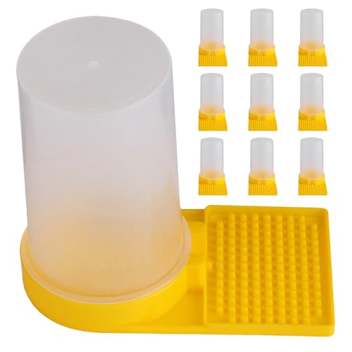 Abreuvoir ruche apiculture miel et nourrissage des abeilles avec entrée de ruchette 10x