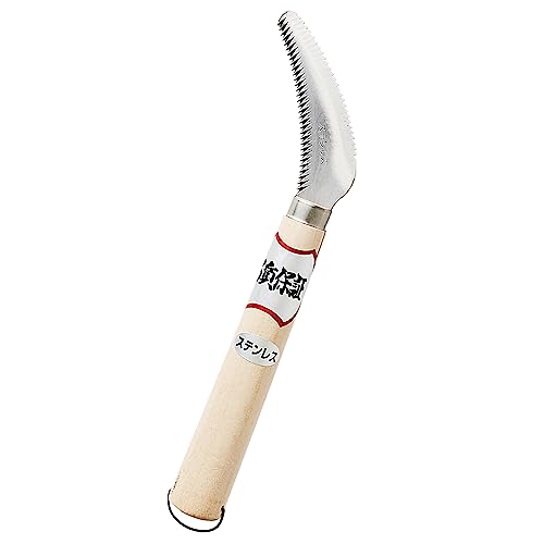 K[fl 抙 _un Xe Y { G     Trɂ