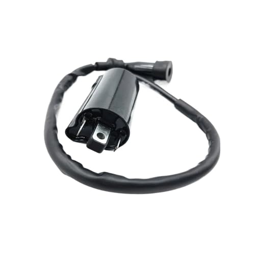 Bobina de encendido para ATV LH300 H300 D300, repuesto de encendido quad 300cc