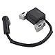 Zündspule Zündkerze Motor Zündspulenmodul Zündung Spule Modul Ersatz für Briggs & Stratton 300E 450E 625EXi 500E 575EX 799582 593872 798534 125cc Motor 08P500 08P600 093J02 09P600 09P700 Rasenmäher