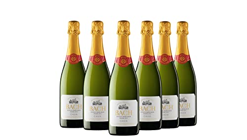 Bach Extrísimo - Cava Brut - Caja 6 botellas 75cl