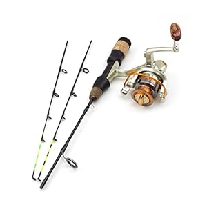 Vishengel 58 CM Winter Ijs Hengels 2 Tips Draaiende Rod en Reel Set Carbon Fiber Ice Pole Ultra-Light Carp Vissen Winter Vissen Draagbare reishengel