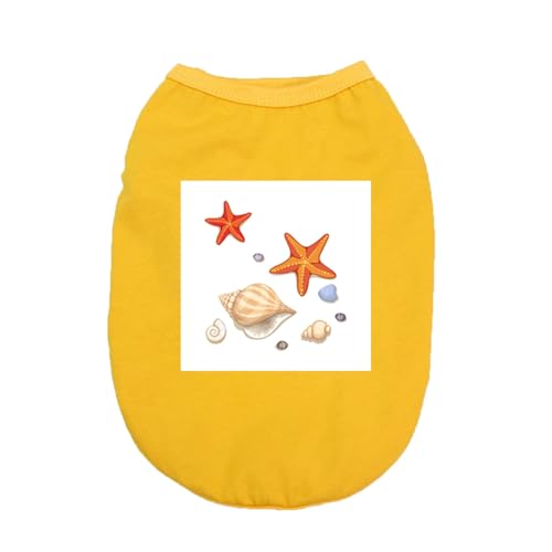 CNJKS  sVc Vc t ĕ ybg ybgEFA hbOEFA ʋC  ybgp p ^ ^ ^ 5XL Lm zCg L _炩    t@bV Eѕی