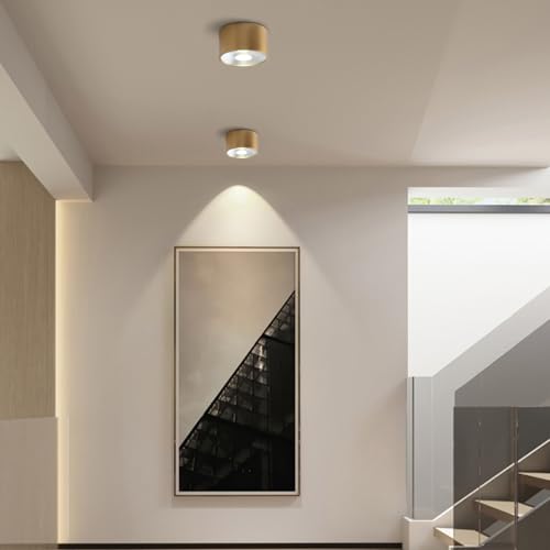 Image of Sedelan Mini Brass Ceiling Spot Light, 4.33 Inch Small Flush Mount Fixture, 7W 4500K LED Cylinder Lamp, Modern Indoor Accent Light for Closet Hallway Staircase Bedroom
